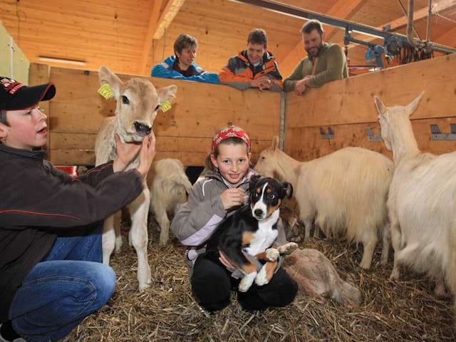 Enfants apprenant à s'occuper des animaux de la ferme