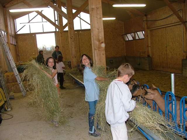 Enfants découvrant les animaux de la ferme en colonie de vacances