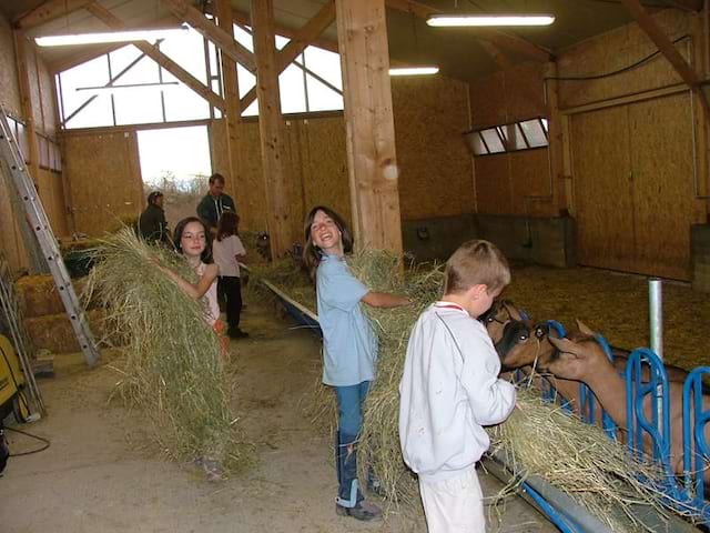 Enfants découvrant les animaux de la ferme en colonie de vacances