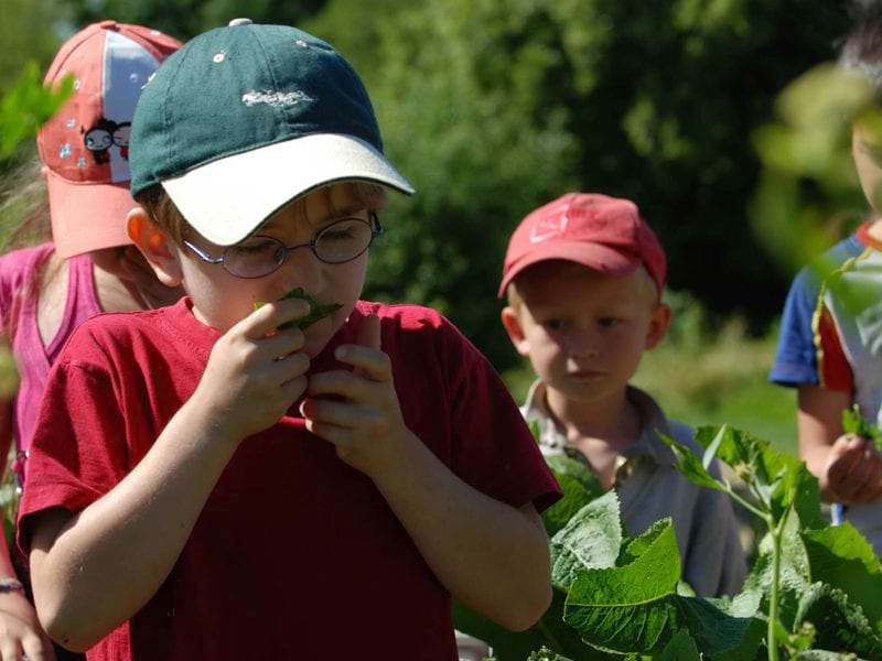 Apprendre à jardiner en colonie de vacances