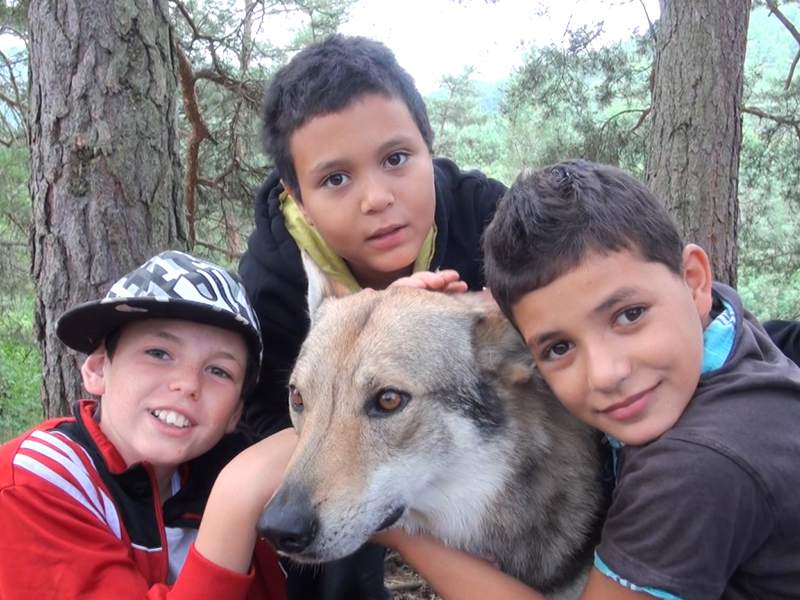 Portrait d'enfants en colonie de vacances canirando 