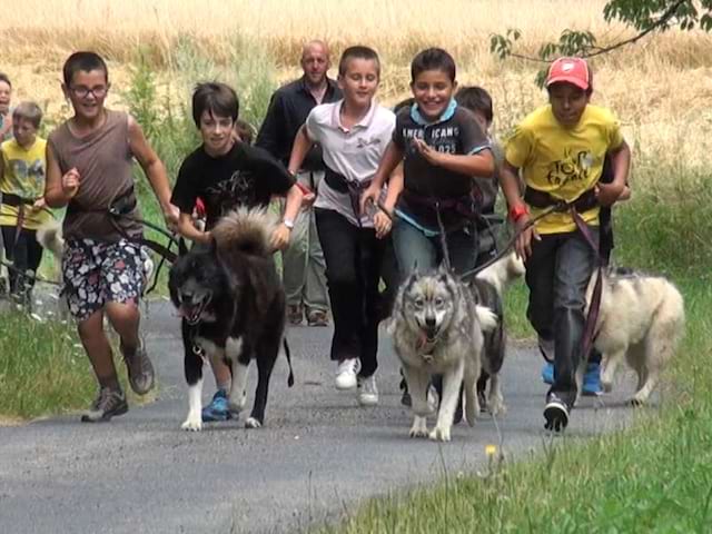 Enfants en balade en cani rando en colonie de vacances