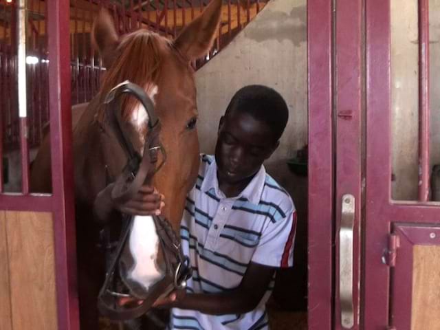 Portrait d'un ado avec un cheval