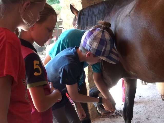 Un enfant apprend à nettoyer les fers d'un cheval