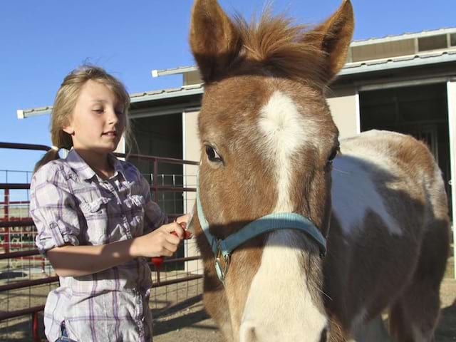 Portrait d'un enfant avec un cheval en colo