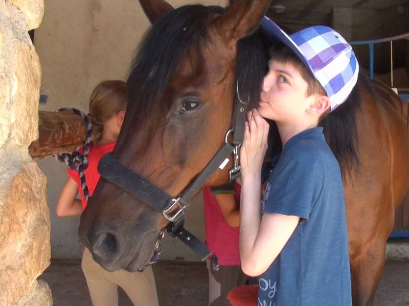 portrait d'un enfant avec son cheval en colonie de vacances