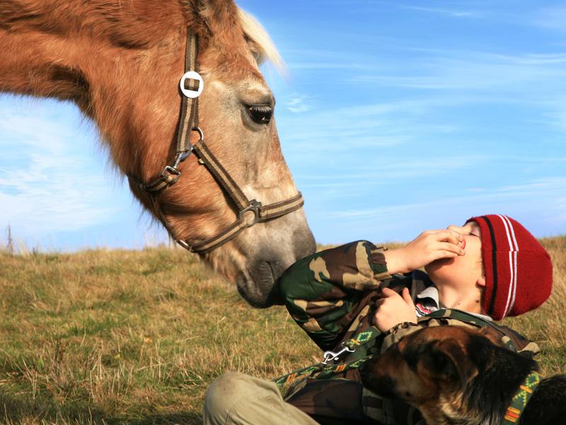 enfant et son cheval en colonie de vacances