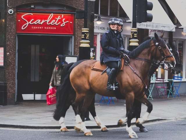 Police anglaise à cheval à Londres