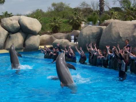 Rencontre avec les otaries