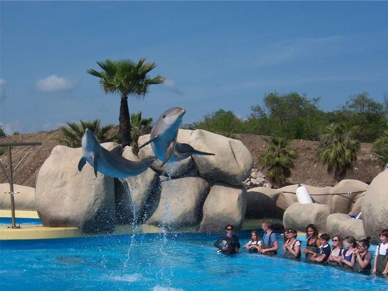 rencontre avec les dauphins antibes Rencontre avec les dauphins antibes 23 août 2011 trois dauphins dantibes ont participé au film, tandis que des scènes avec des dauphins sauvages ont été tournées en mer aux bahamas inutile daller le matin au marineland dantibes:. rencontre avec les dauphins antibes Rencontre avec les dauphins antibes 23 août 2011 trois dauphins dantibes ont participé au film, tandis que des scènes avec des dauphins sauvages ont été tournées en mer aux bahamas inutile daller le matin au marineland dantibes:.