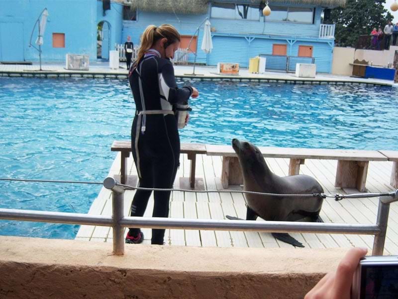 Rencontre avec les dauphins femme enceinte