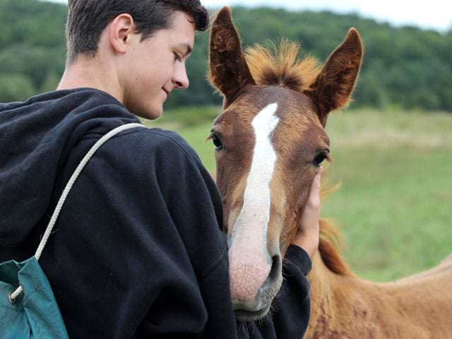 Adolescent et son poulain en colonie de vacances