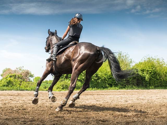 Apprendre à faire du cheval en stage sportif