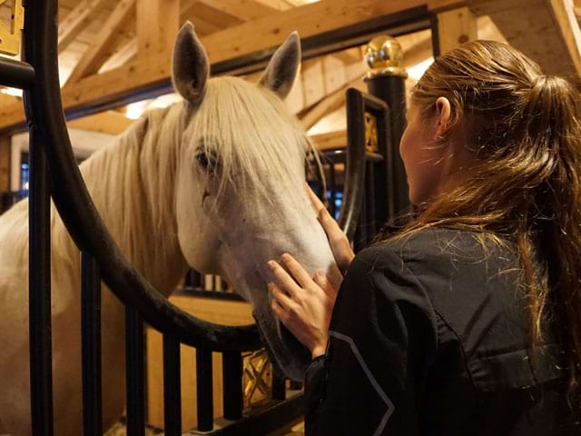 Jeune fille prenant soin de son cheval en colo