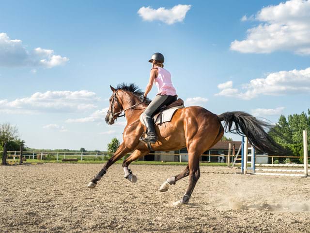 Ados se perfectionnant à l'équitation en colo