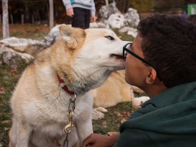 Enfant avec un chien en colonie de vacances cani rando