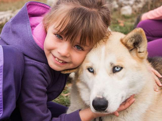 Portrait d'une fillette avec un chien de cani rando en colonie de vacances