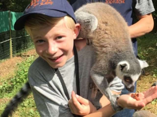 Enfant avec les animaux du zoo de la flèche