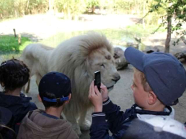 Enfants en colo au zoo de la flèche