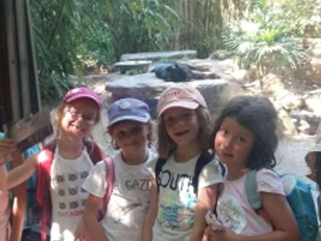 Enfants en colonie de vacances au zoo de la flèche