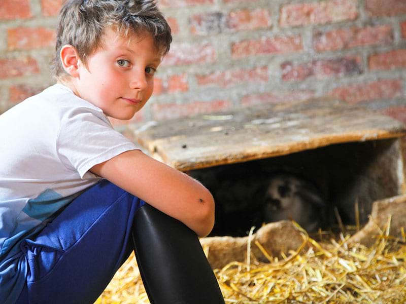 jeune garçon en colo à la campagne à la ferme ce printemps