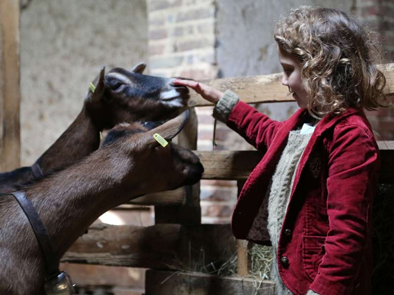 enfant caressant les animaux de la ferme en colonie