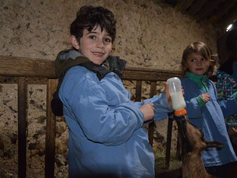 Enfants donnant le biberons aux animaux de la ferme en colo