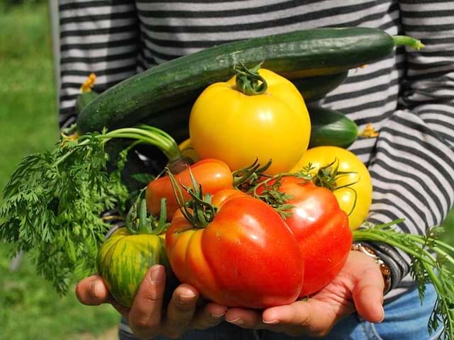 Enfant tenant dans ses mains des fruits et légumes en colonie de vacances ce printemps