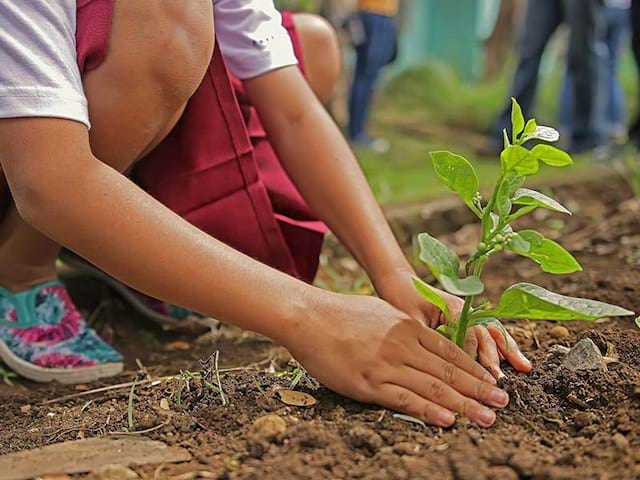 enfant faisant le potager en colonie de vacances jardin et cuisine