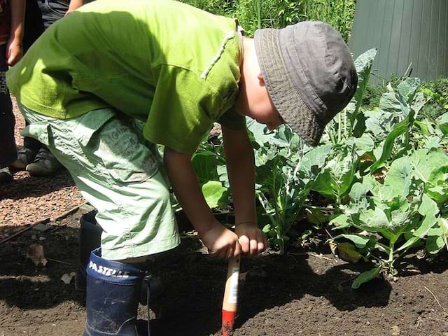 jeune garcon faisant du jardinage dans un potager en colo printemps