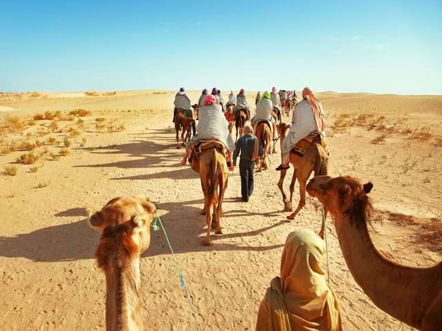 Balade à chameau en colonie de vacances au Maroc ce printemps