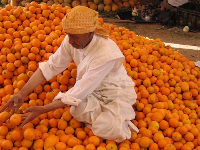 Marocain triant les oranges au Maroc