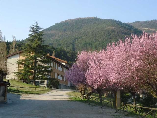 Vue de l'entrée du centre de vacances au printemps