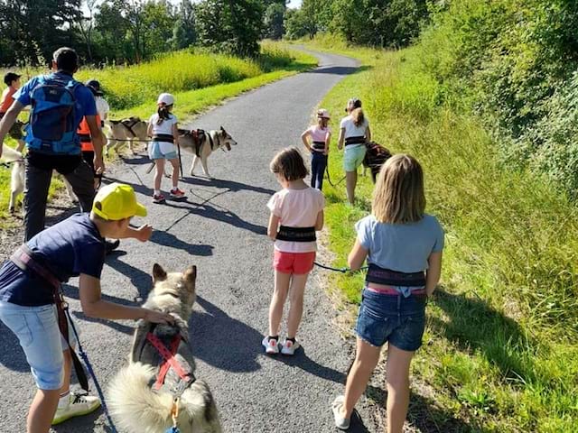 Vue sur les chiens et enfants lors d'une activité Cani rando en colo Artistes en herbe au printemps