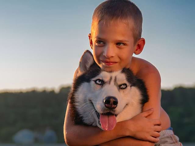 Vue sur un chien et un petit garçon lors d'une activité cani-rando en colo Artistes en herbe durant le printemps