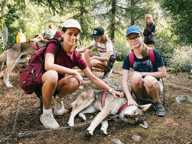 Activité Cani rando en colo de vacances durant le printemps