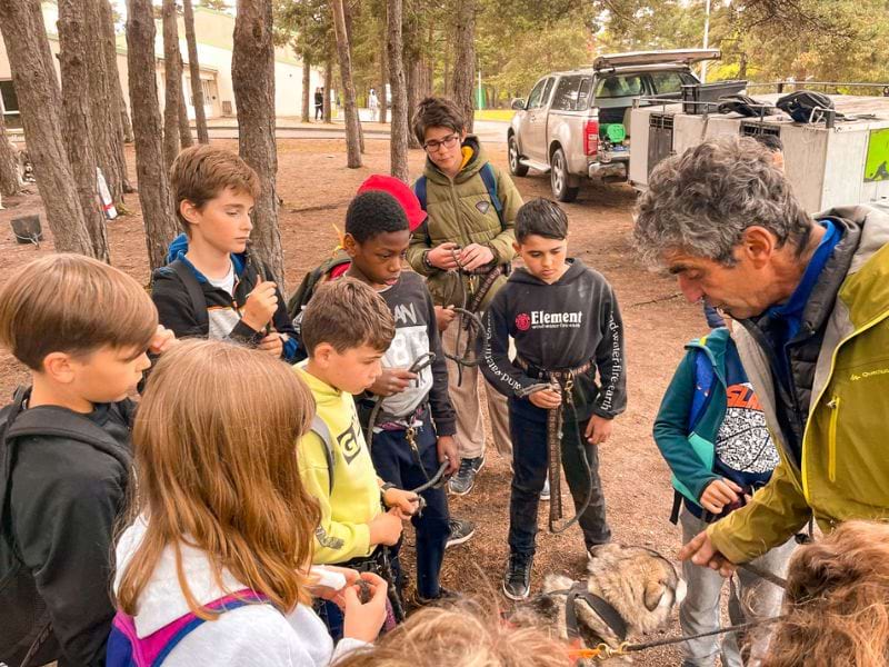 moniteur canirandonnée colonie de vacances enfants