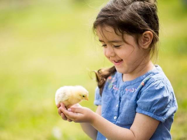 Jeune fille et son poussin en colo de vacances ce printemps