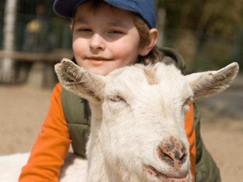 Jeune garçon de 7 ans qui profite de ses vacances à la ferme ce printemps