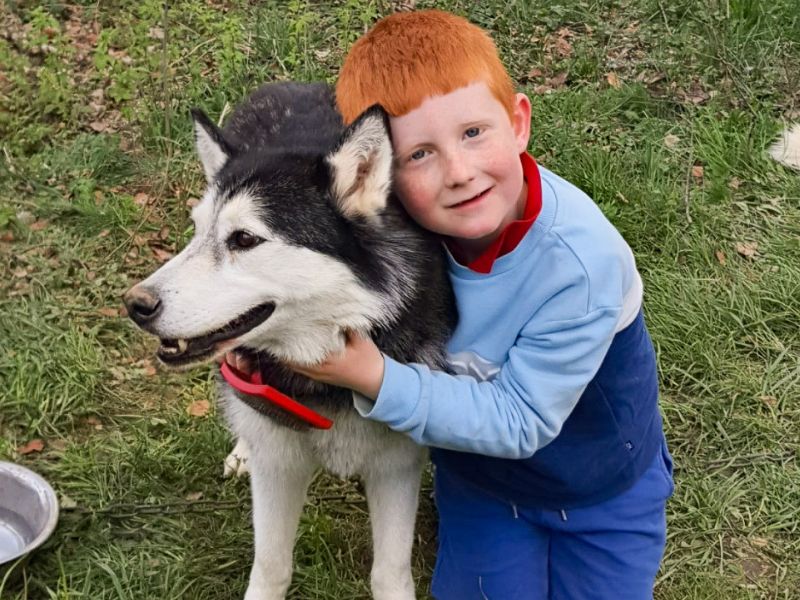 Jeune garçon de 7 ans durant son activité cani rando en colo de vacances Equitation à Vassieux cet été