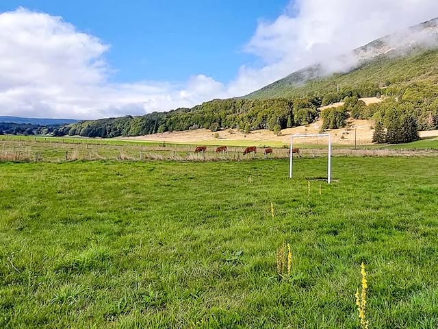 Champs en colo de vacances Equitation cet été