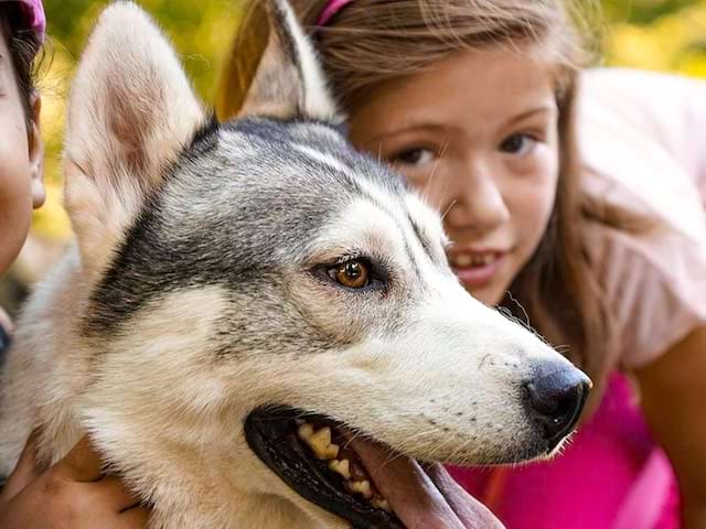 Fillette avec un chien canirando colonie de vacances