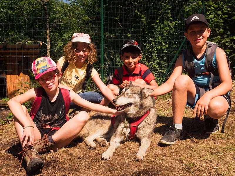 Groupe enfants 11 ans et 12 ans avec un chien en randonnée