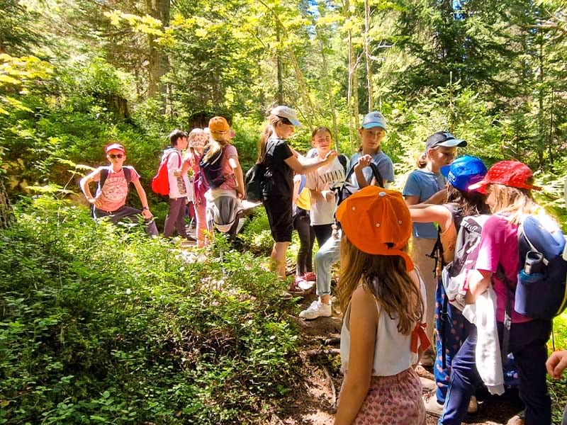 Groupe enfants balade bois en colonie de vacances jeu de piste