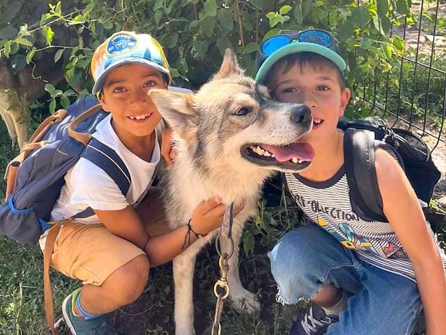 Enfants avec husky chien canirandonnée été