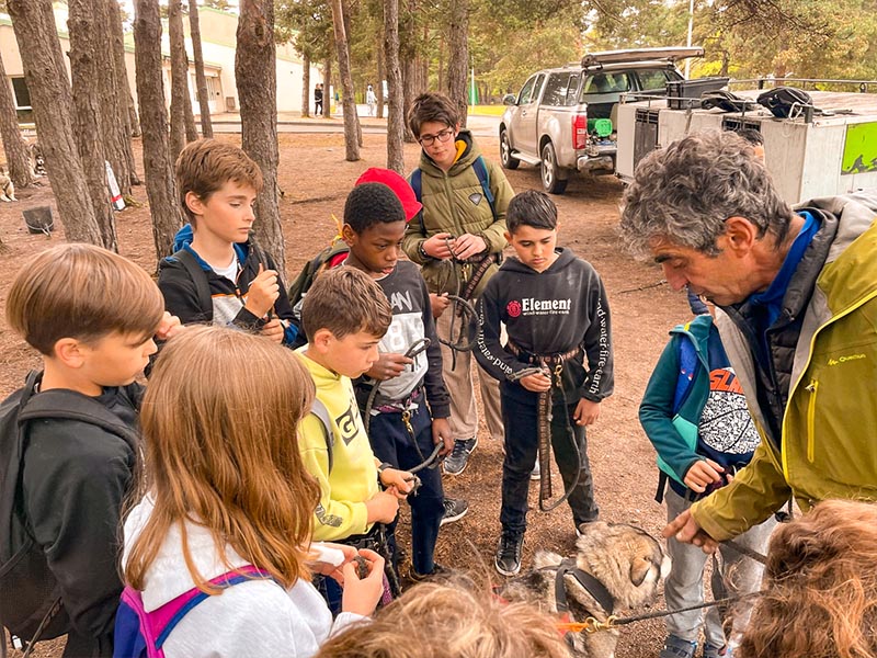 musher chien canirandonnée avec enfants en colonie de vacances