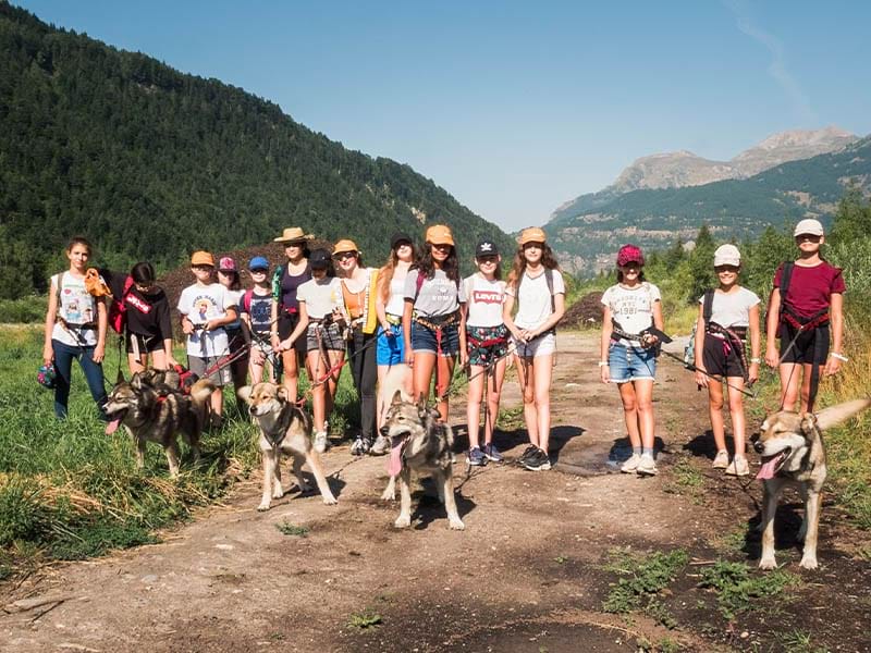 groupe préados en canirandonnée en colonie de vacances séjour enfant