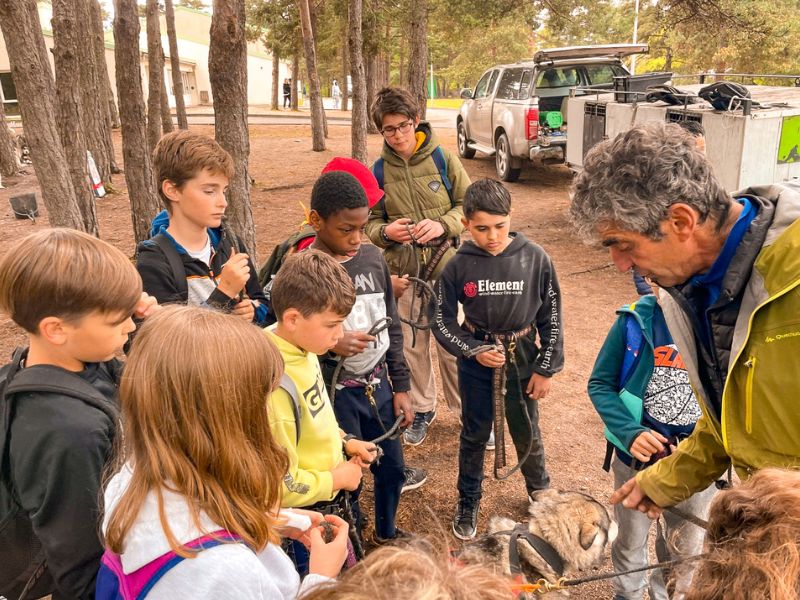 musher cani randonnée en colonie de vacances pour enfants