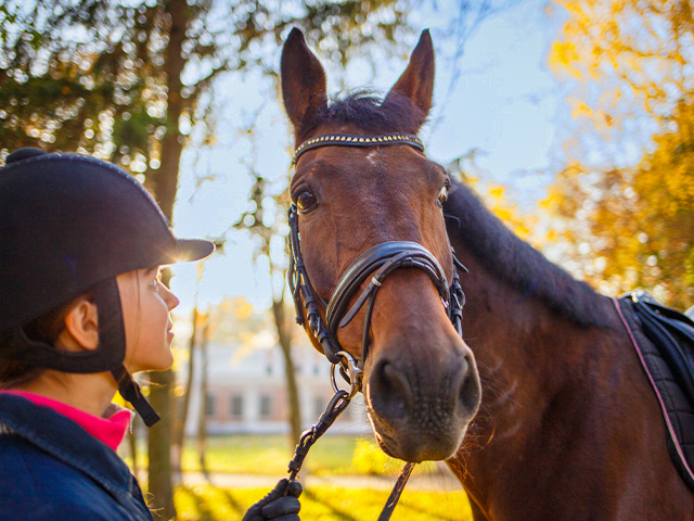 jeune fille avec cheval activite pendant colonie de vacances itinerante a l etranger malte avril