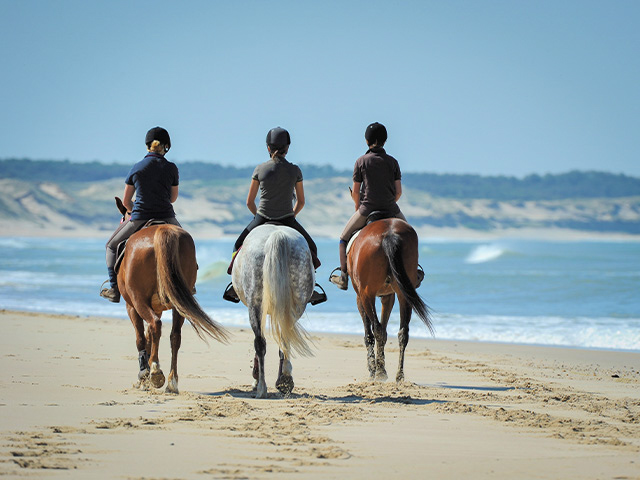balade a cheval sur la plage malte colonie de vacances paques